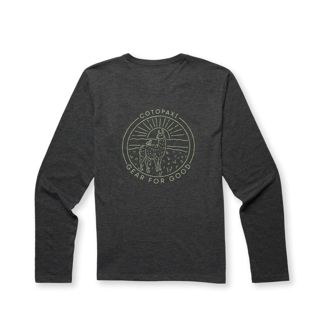 Hello Llama Long-Sleeve Organic T-Shirt - Men's, Iron