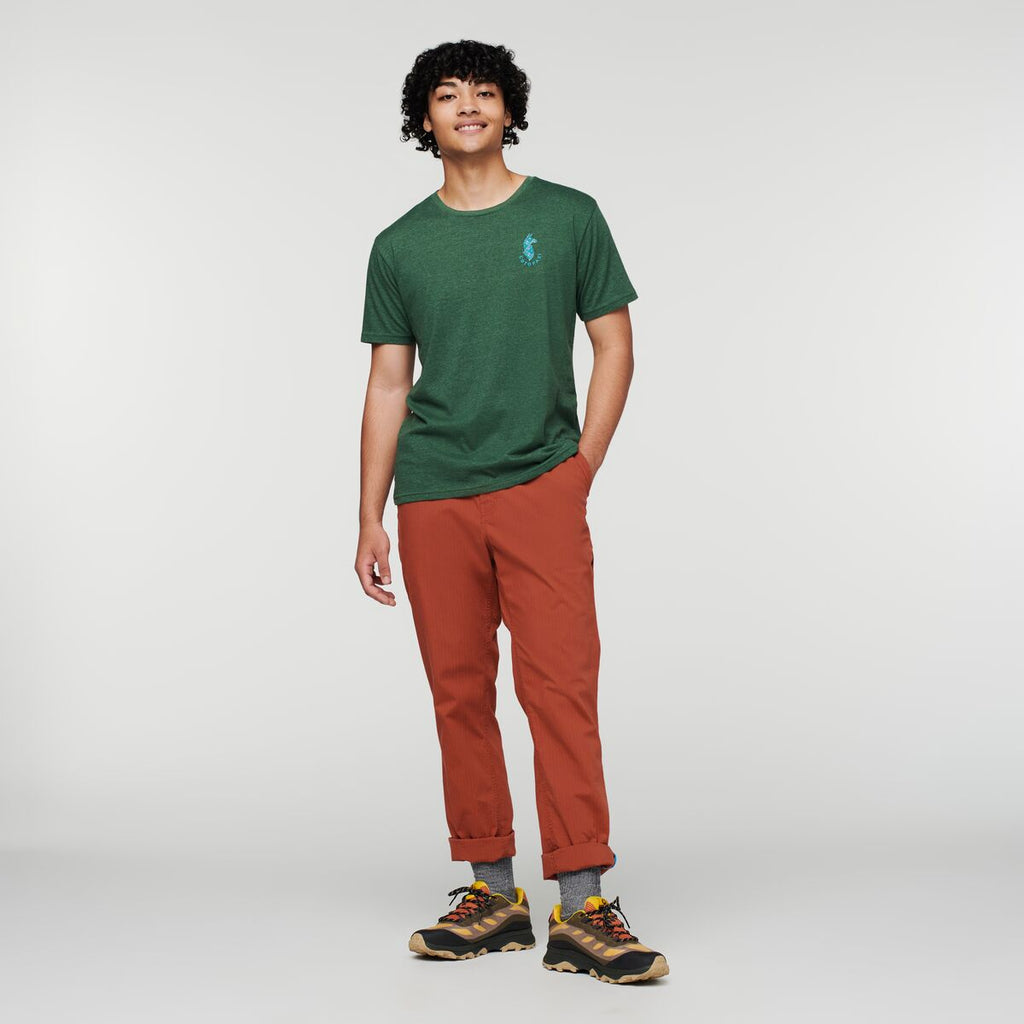 Salto Ripstop Pant - Men's, Spice, Model Xavier