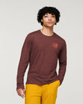 Chestnut