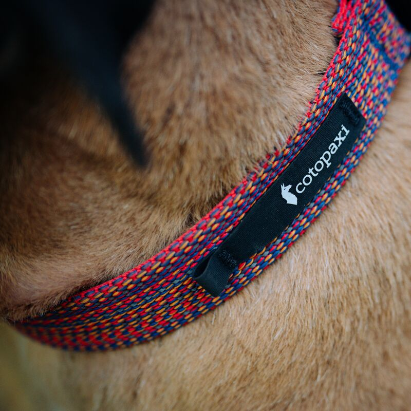 Del Día Dog Collar, Del Día, Detail