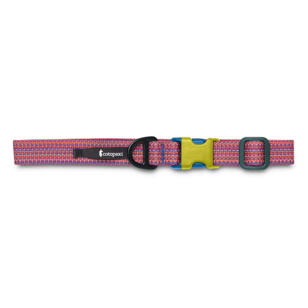 Del Día Dog Collar, Del Día, Detail