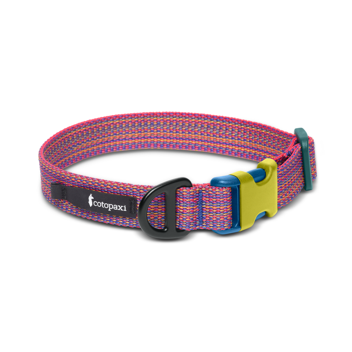 Del Día Dog Collar, Del Día, detail