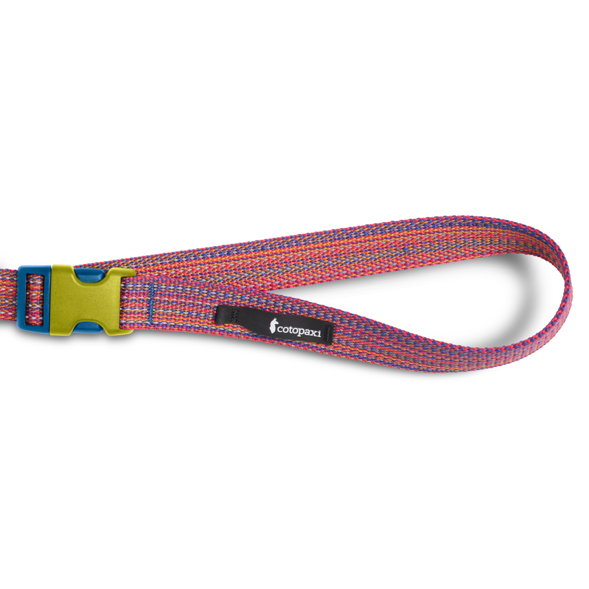 Del Día Dog Leash, Del Día, Detail