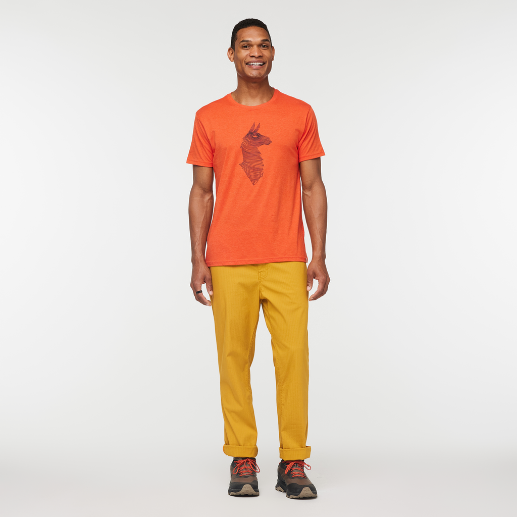 Topo Llama T-Shirt - Men's, Canyon, Model James