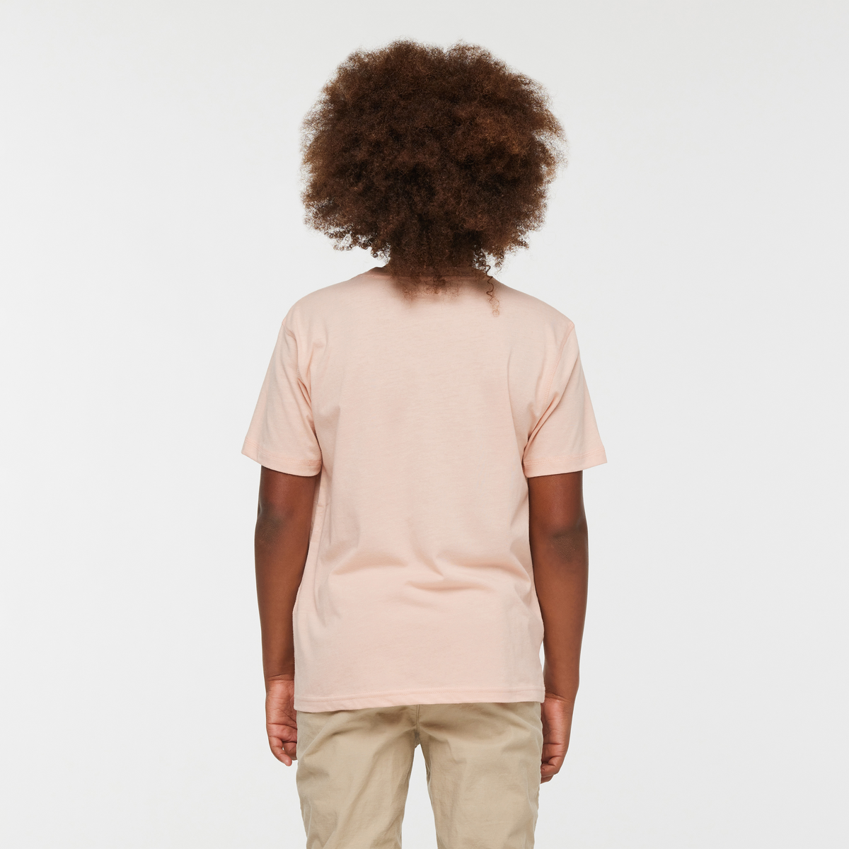 Llama Party Organic T-Shirt - Kids', Rosewood, Model Isaiah