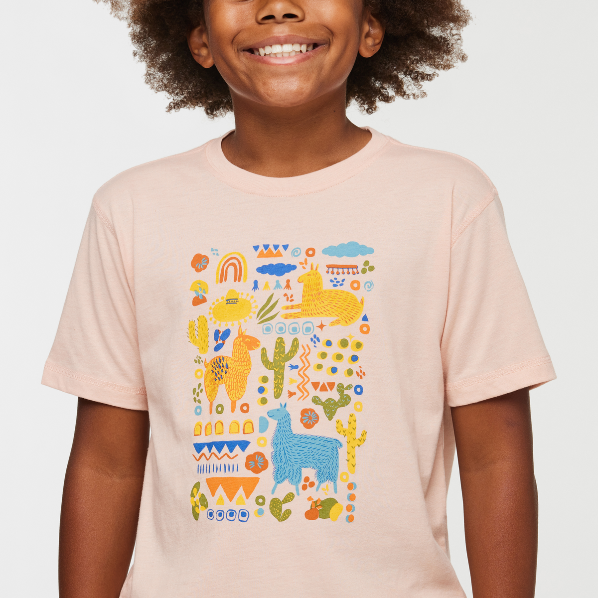 Llama Party Organic T-Shirt - Kids', Rosewood, Model Isaiah