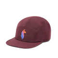 Llama Stripes 5-Panel Hat, Wine