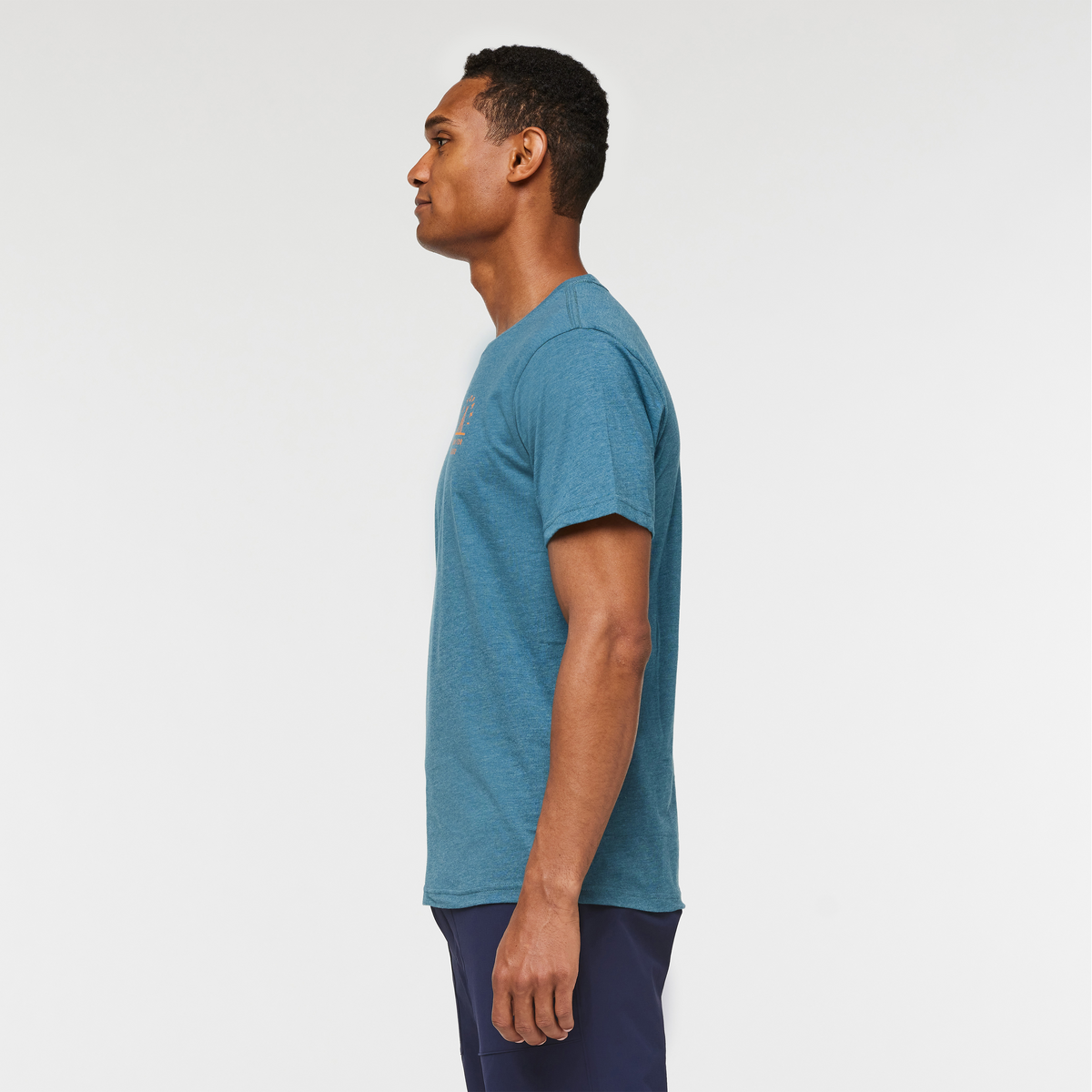 Llama Map Organic T-Shirt - Men's, Blue Spruce, Model Jason
