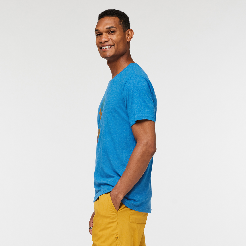 Llama Stripes Organic T-Shirt - Men's, Atlantic, Model Jason