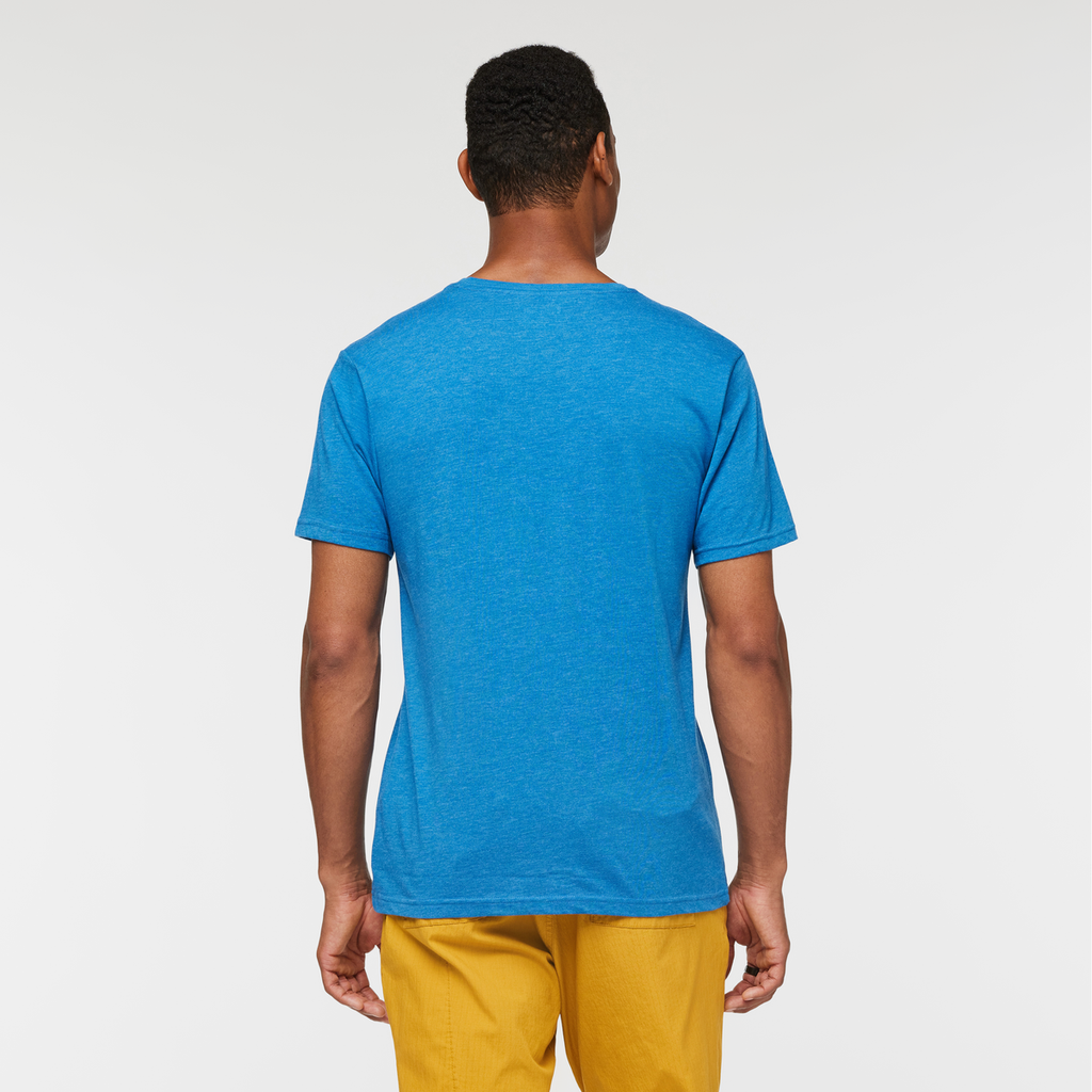 Llama Stripes Organic T-Shirt - Men's, Atlantic, Model Jason