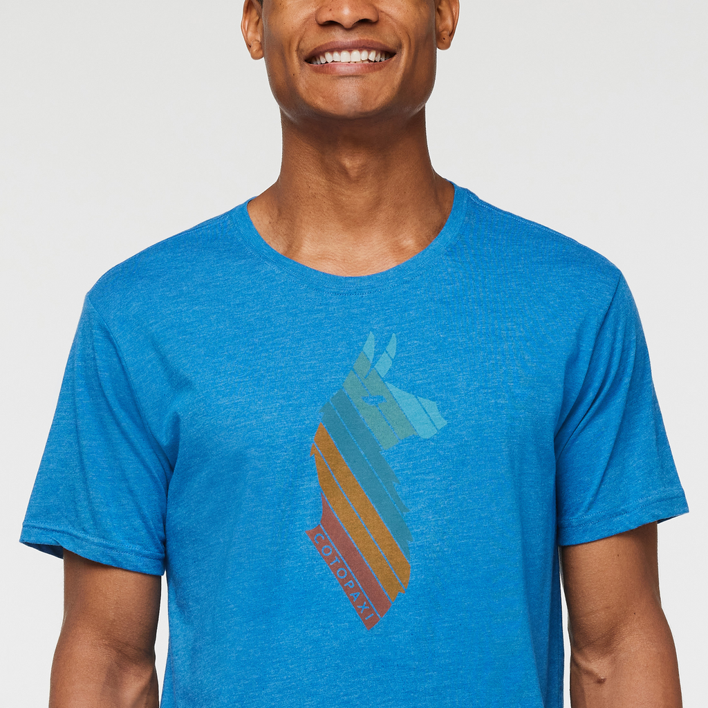 Llama Stripes Organic T-Shirt - Men's, Atlantic, Model Jason