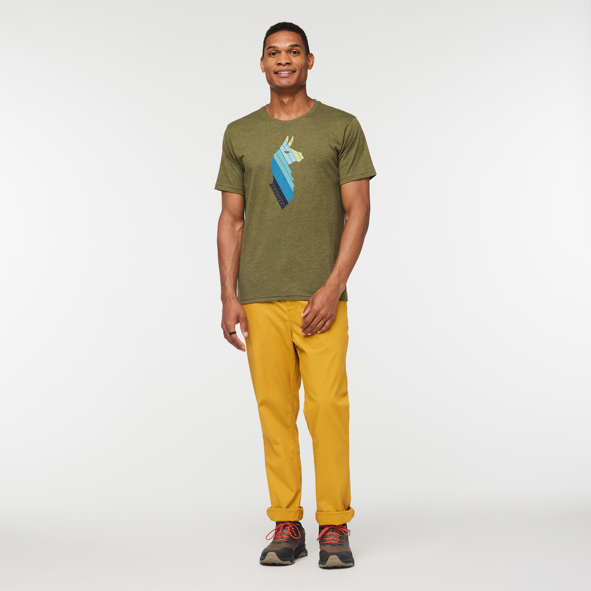 Llama Stripes Organic T-Shirt - Men's, Pine, Model Jason