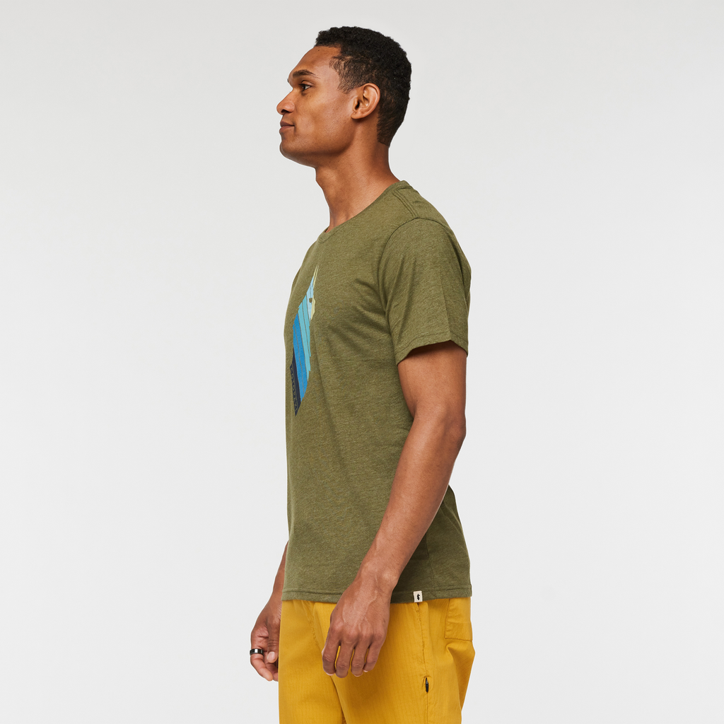 Llama Stripes Organic T-Shirt - Men's, Pine, Model Jason
