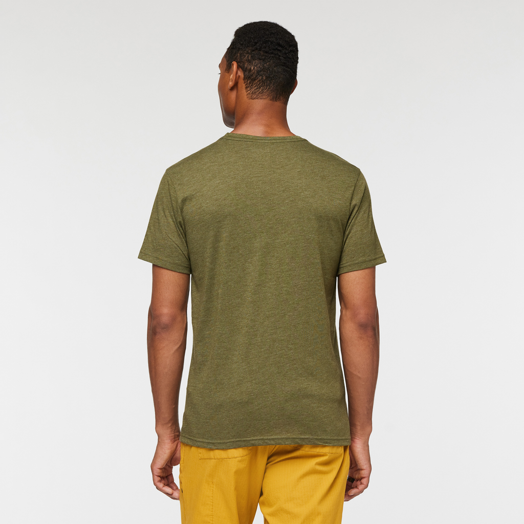 Llama Stripes Organic T-Shirt - Men's, Pine, Model Jason