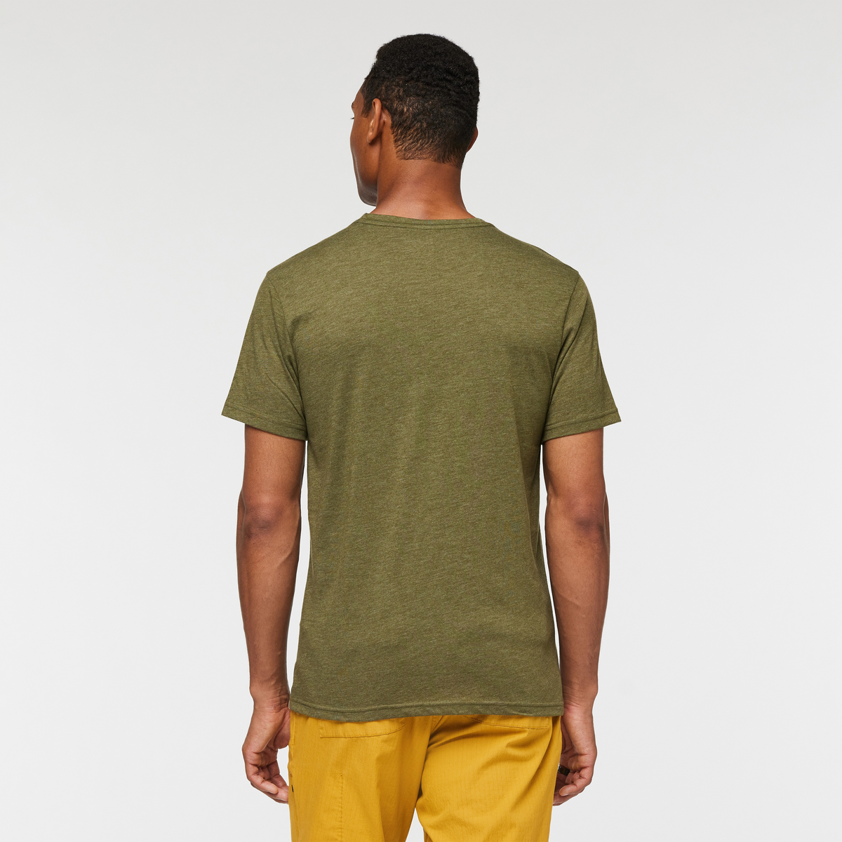 Llama Stripes Organic T-Shirt - Men's, Pine, Model Jason