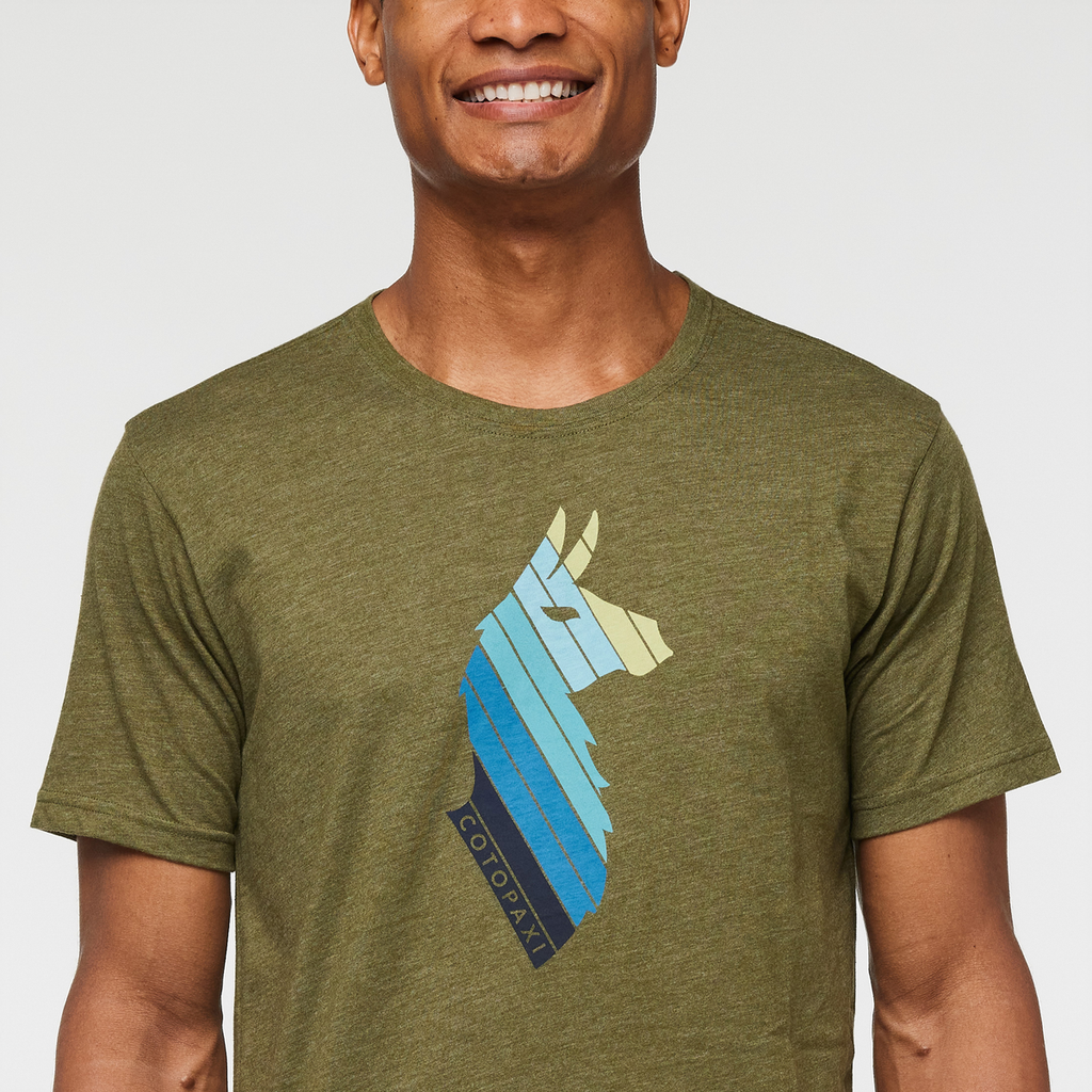 Llama Stripes Organic T-Shirt - Men's, Pine, Model Jason