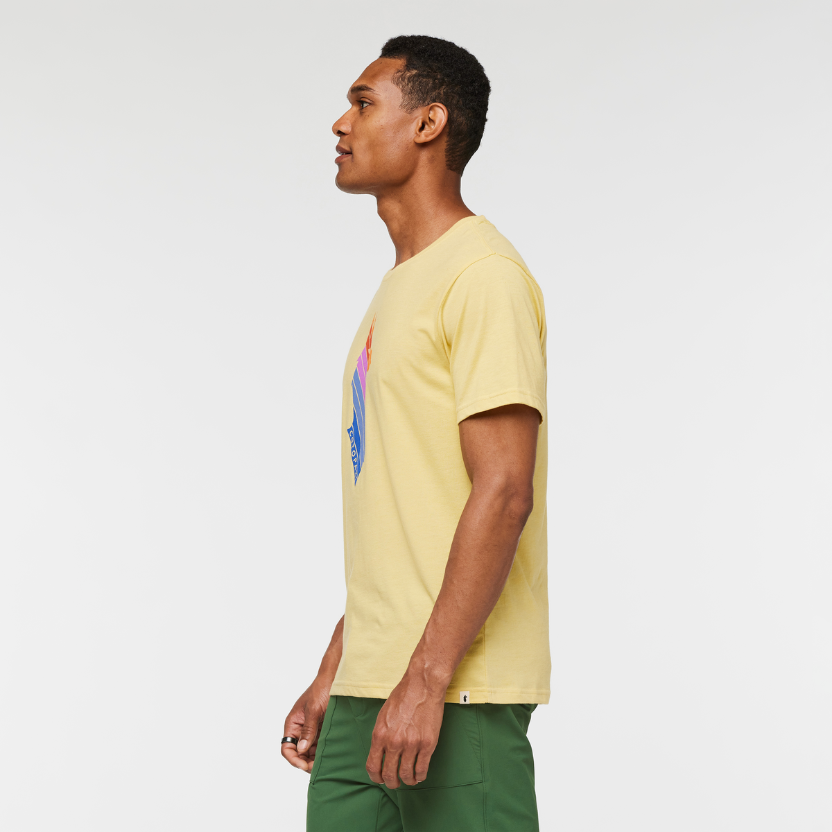 Llama Stripes Organic T-Shirt - Men's, Wheat, Model Jason