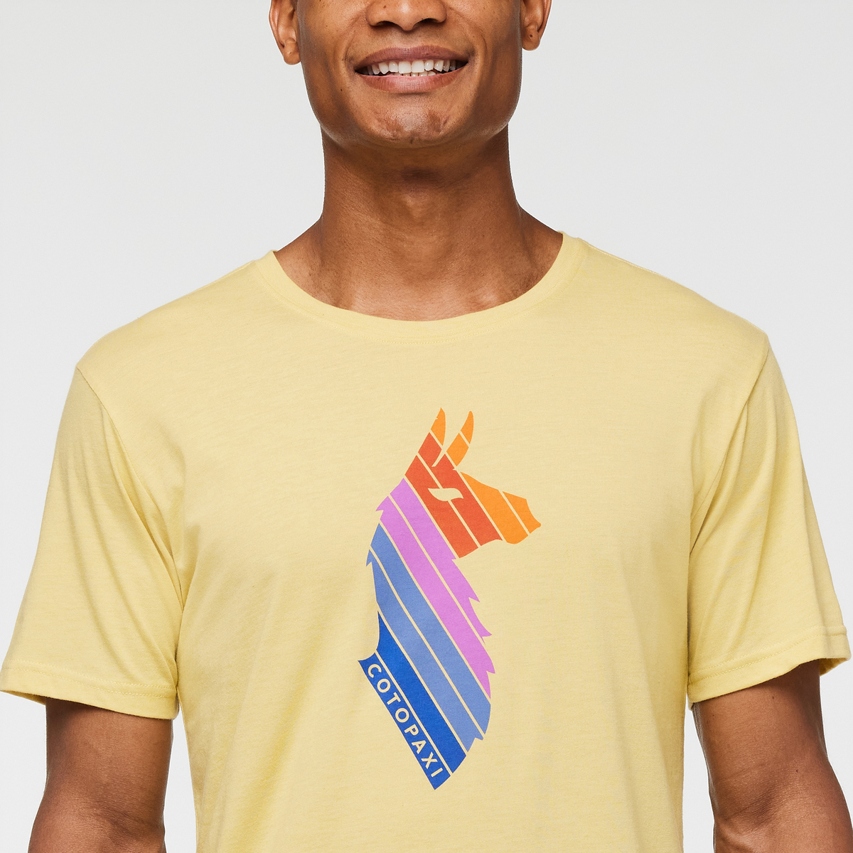 Llama Stripes Organic T-Shirt - Men's, Wheat, Model Jason