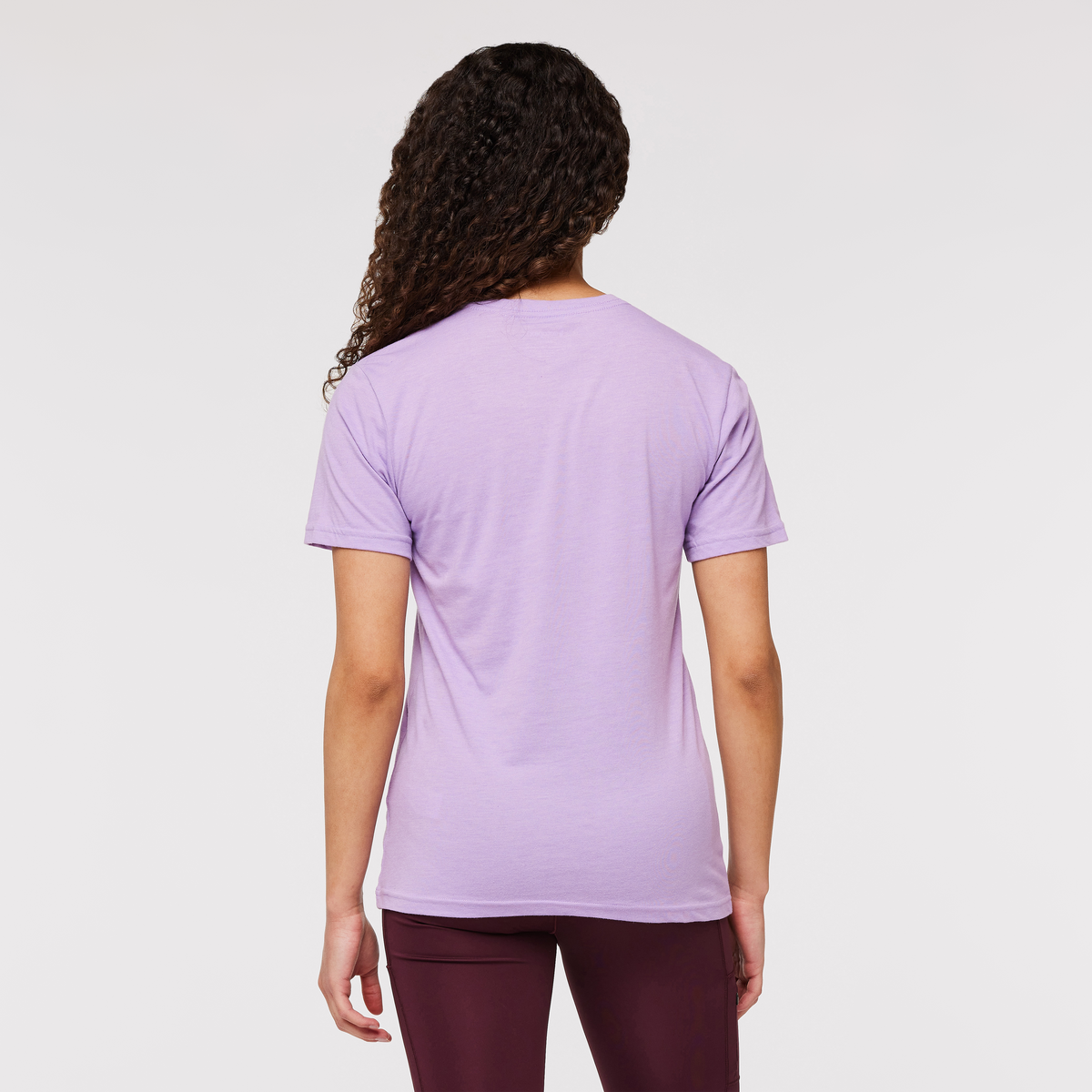 Altitude Llama T-Shirt - Women's, Wisteria, Model London