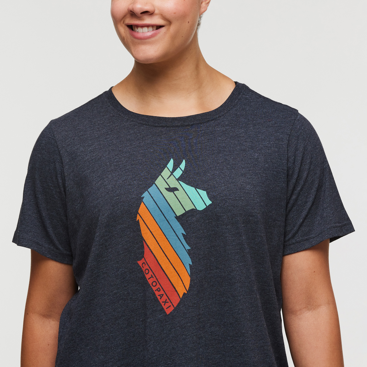 Llama Stripes Organic T-Shirt - Women's, Graphite, Model Brianna