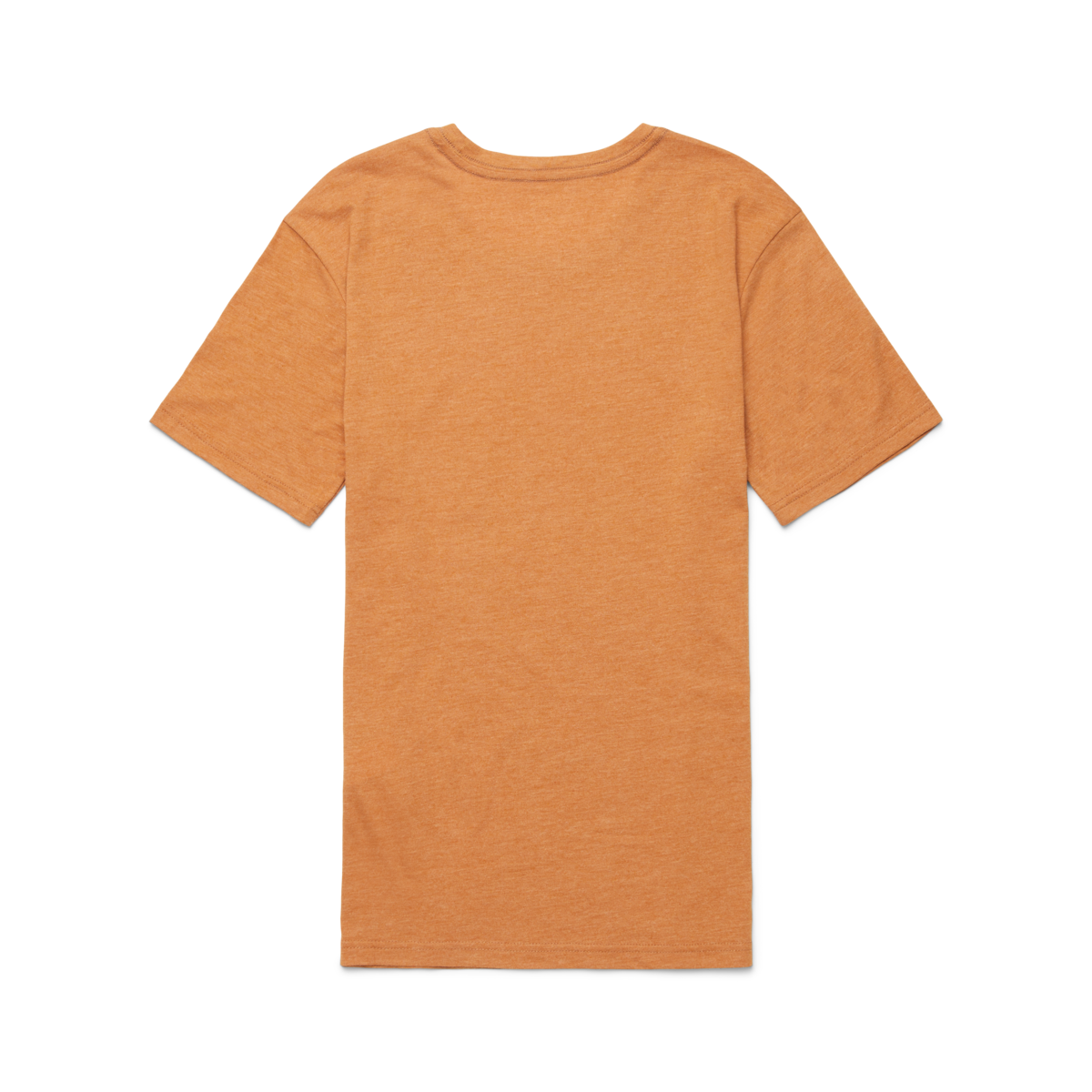 Traveling Llama T-Shirt - Women's, Saddle