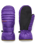 Black Violet