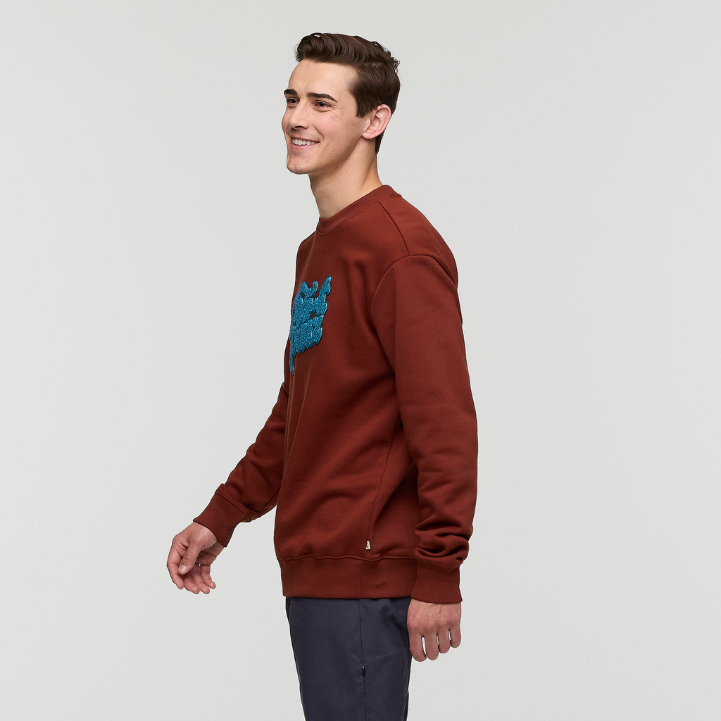 Coto-Patch Crew Sweatshirt - Men's, Rusty, Model Kellan