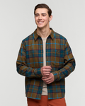 Live Oak Plaid