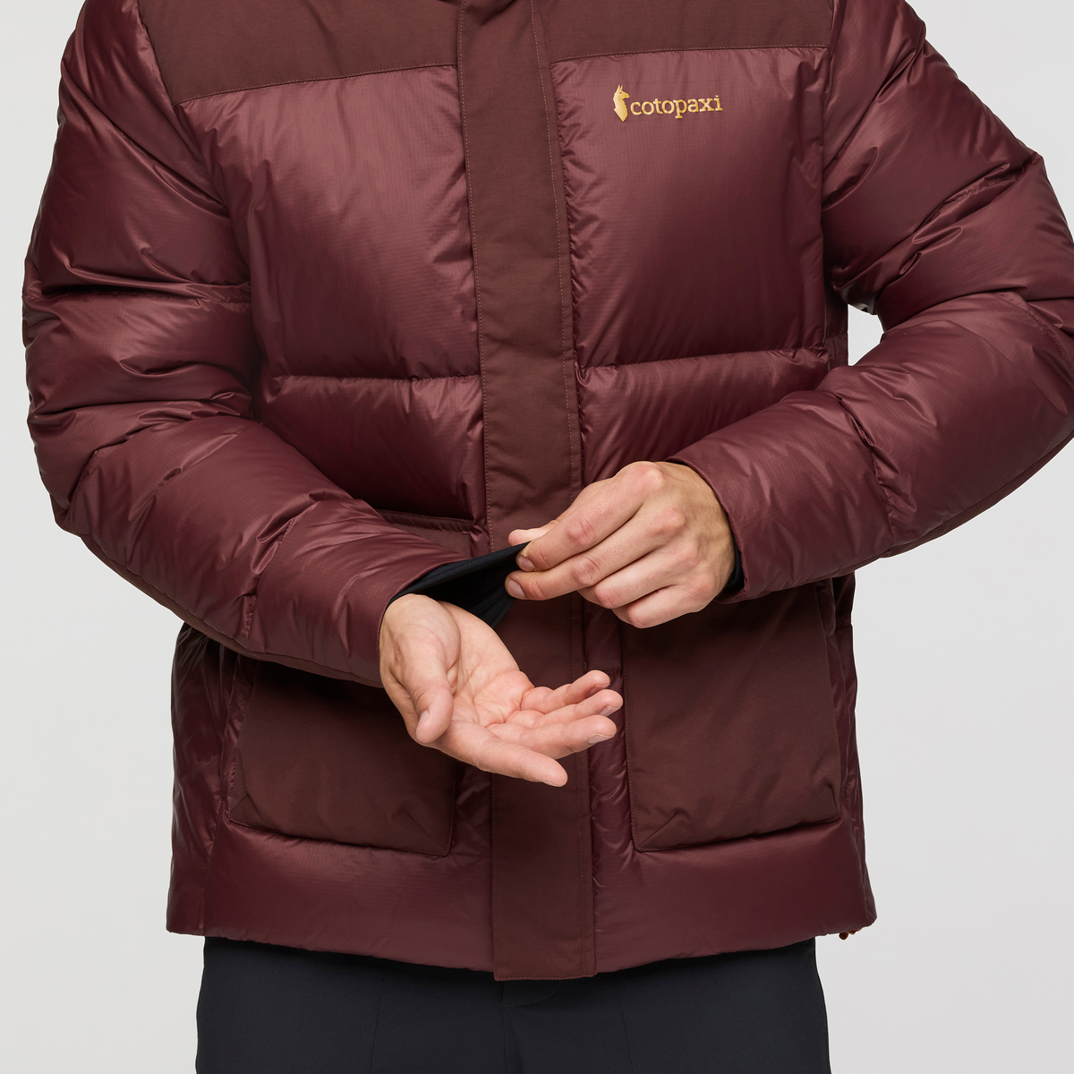 Solazo Down Parka - Men's, Chestnut, Model Kellan