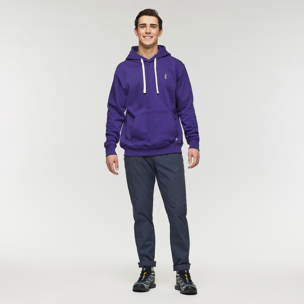 Up and Up Pullover Hoodie - Men's, Black Violet, Model Kellan