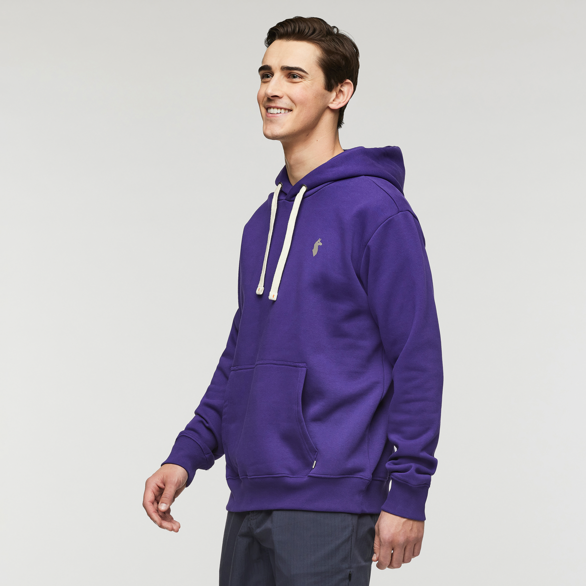 Up and Up Pullover Hoodie - Men's, Black Violet, Model Kellan