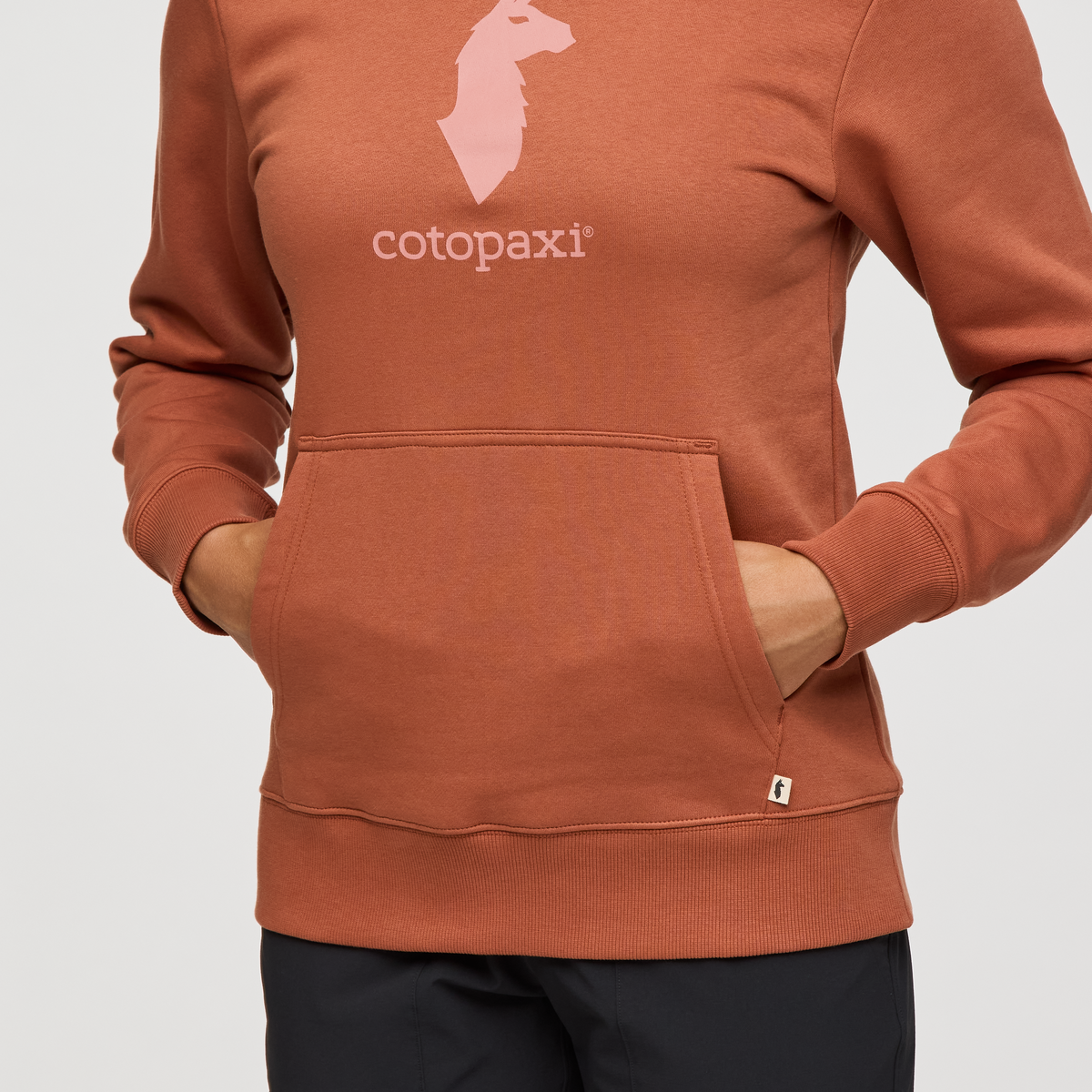 Cotopaxi Llama Pullover Hoodie - Women's, Faded Brick, Model London
