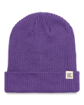 Black Violet