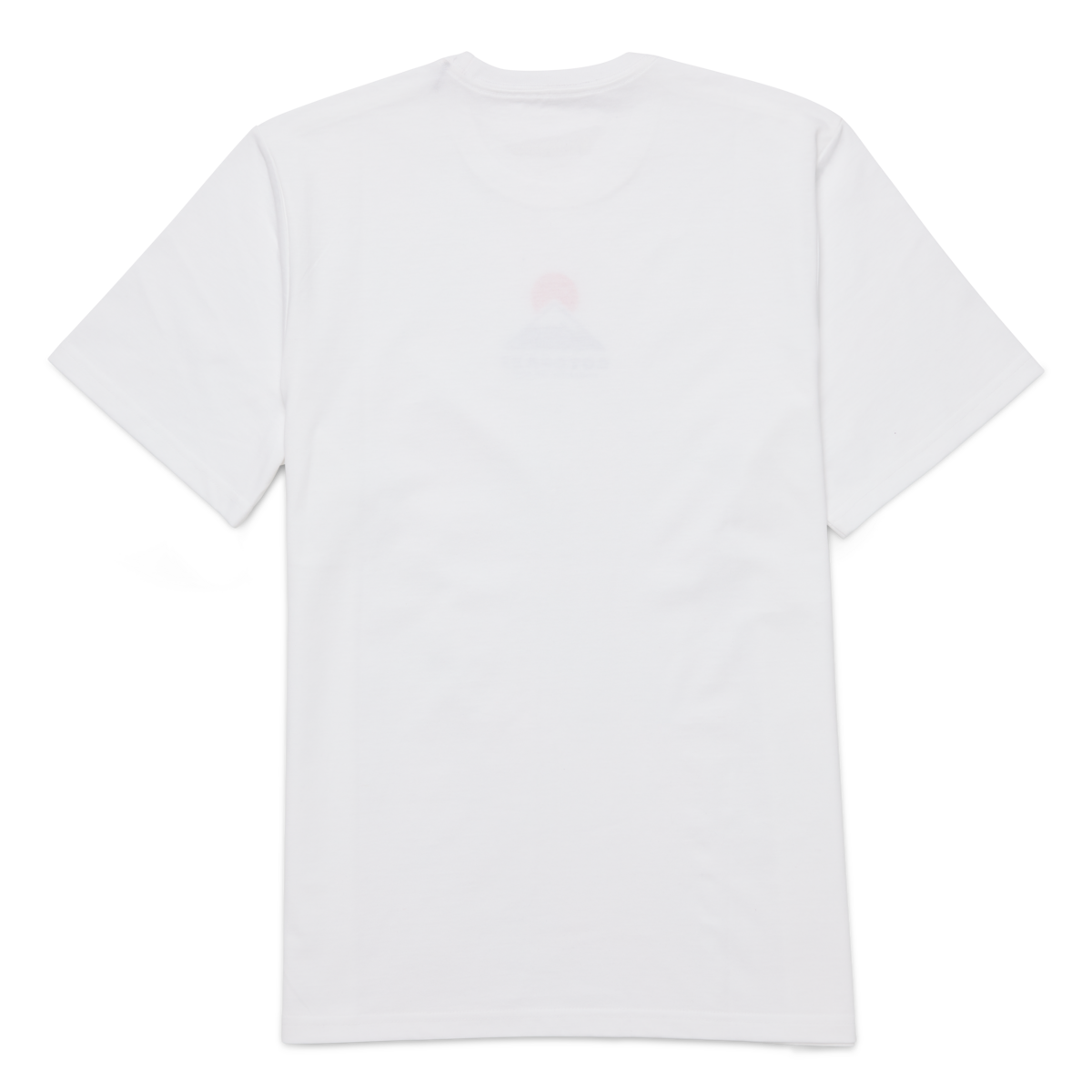 Cotopaxi Mountain T-Shirt - Men's, White, Model Kai