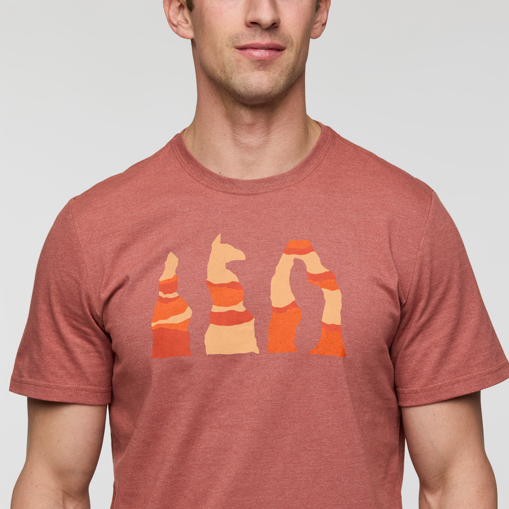 Llama Hoodoo T-Shirt - Men's, Nutmeg, Model Jackson