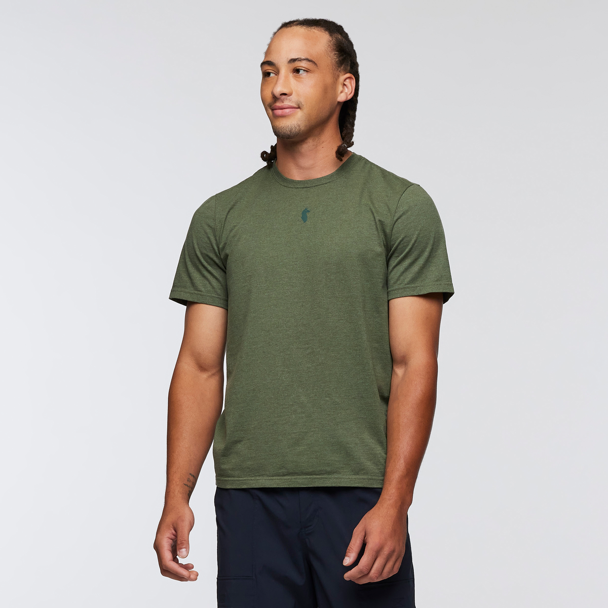 Llama Icon T-Shirt - Men's, Fatigue, Model Kai