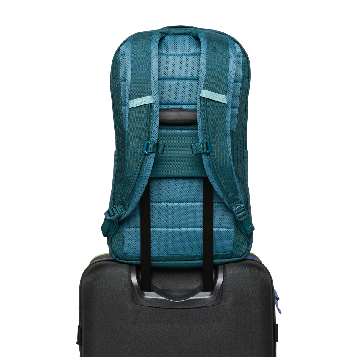 Allpa 26L Daypack, Blue Spruce/Abyss, Detail