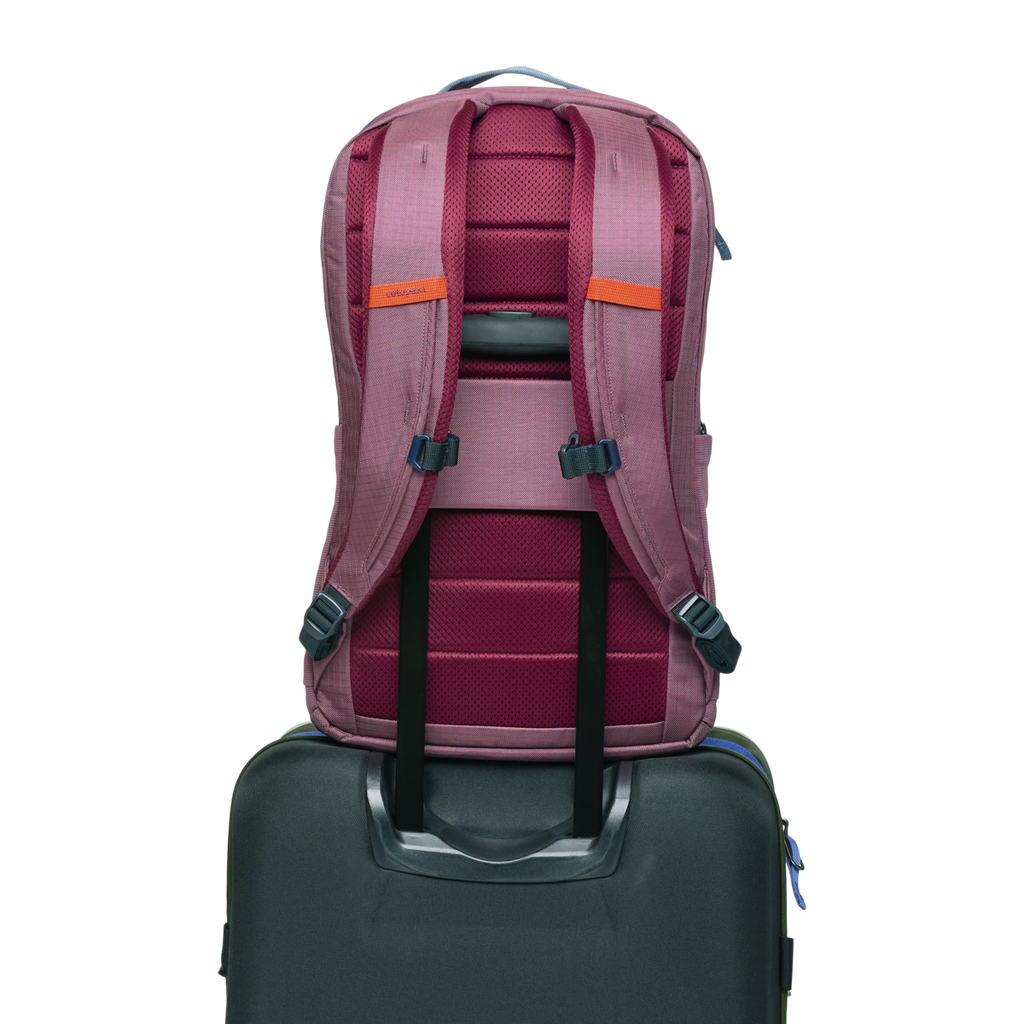 Allpa 26L Daypack, Fig, Detail
