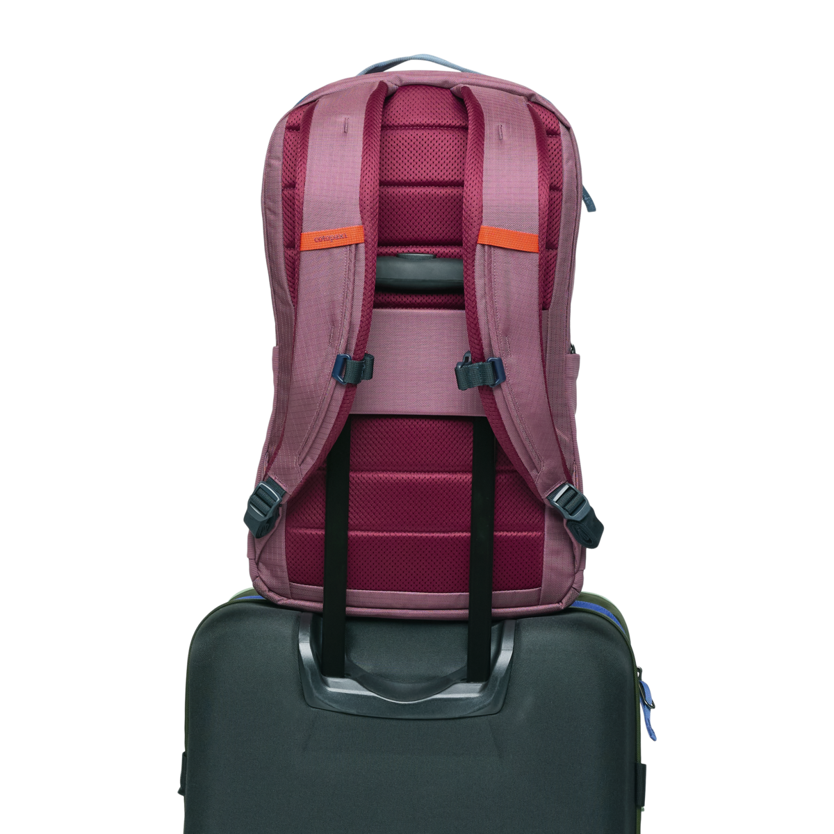 Allpa 26L Daypack, Fig, Detail