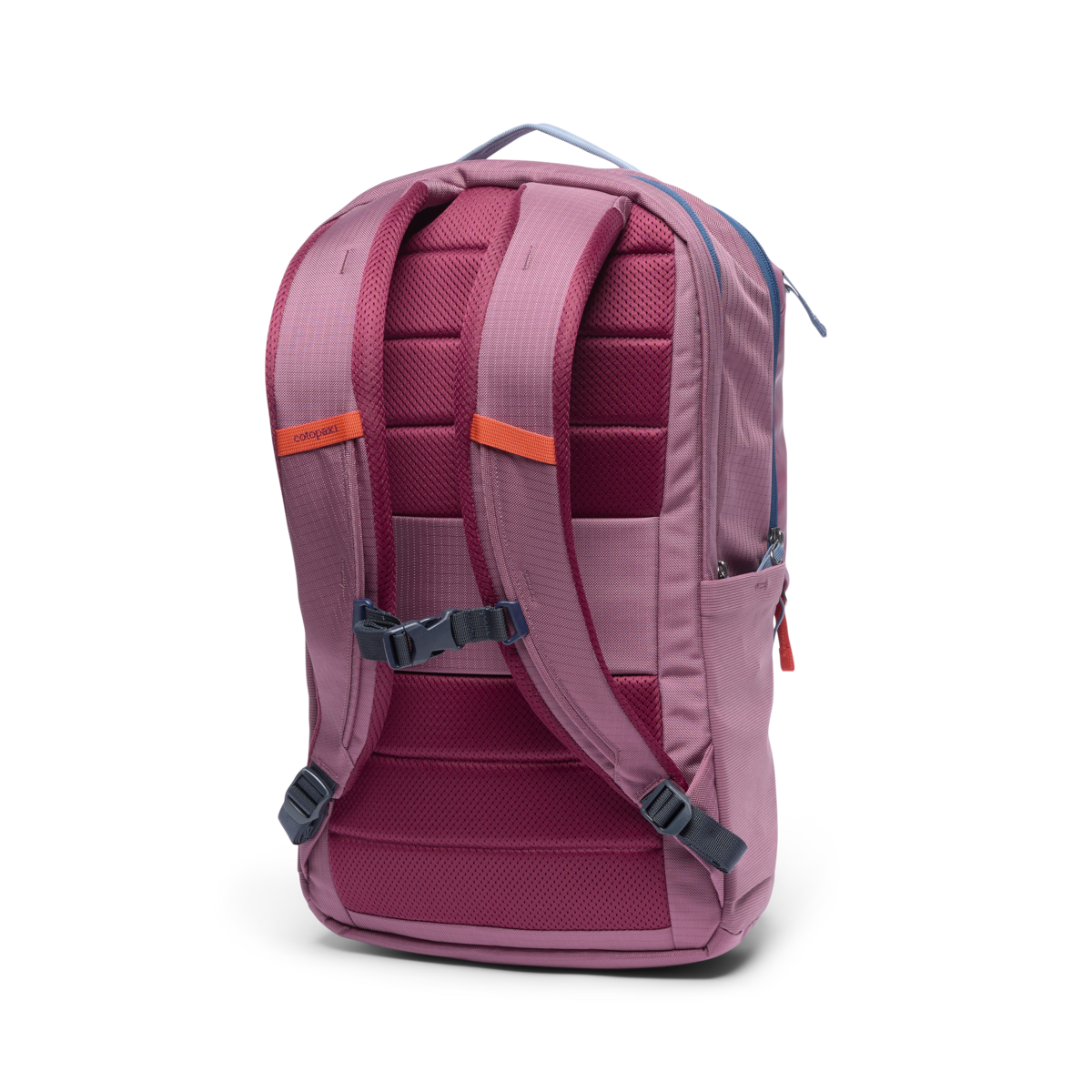 Allpa 26L Daypack, Fig, Detail