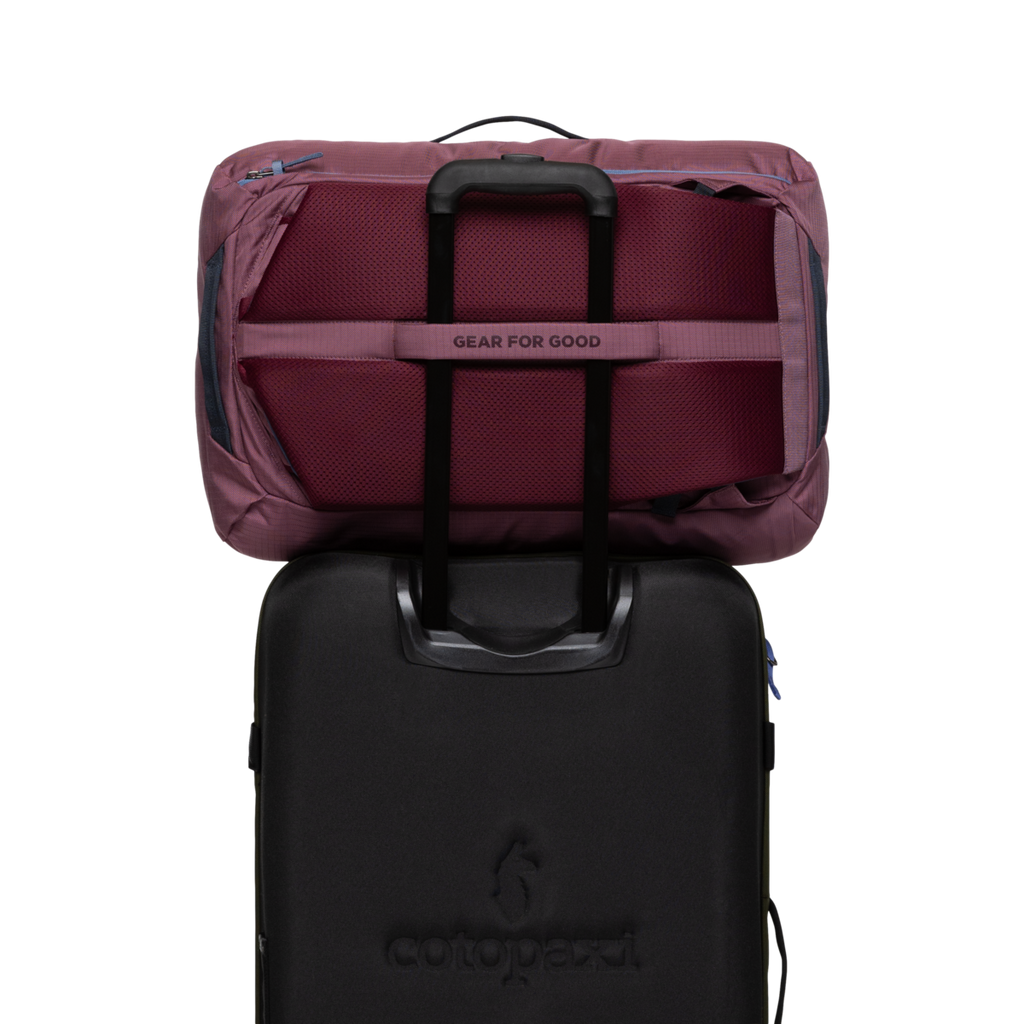 Allpa 35L Travel Pack, Fig, Detail