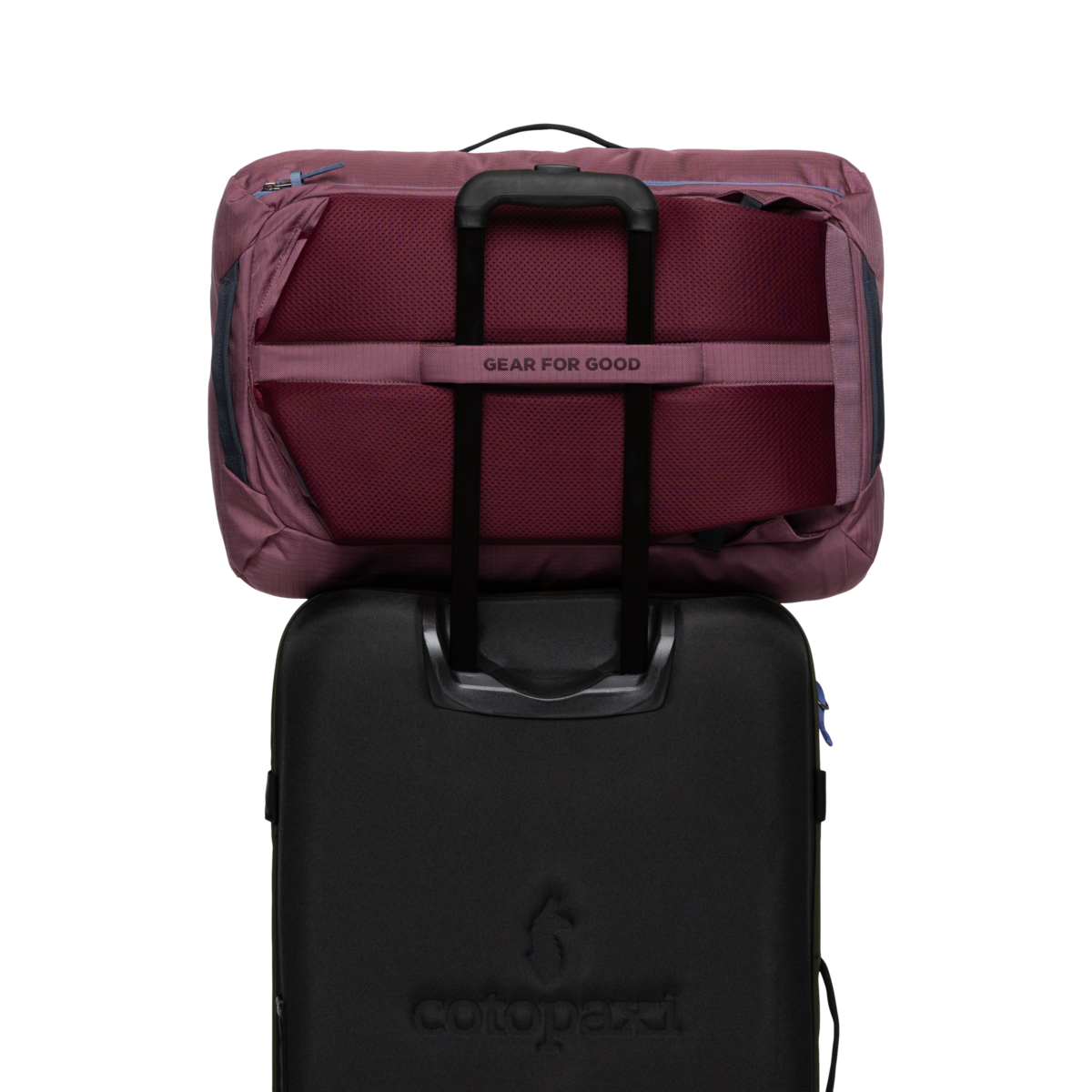 Allpa 35L Travel Pack, Fig, Detail