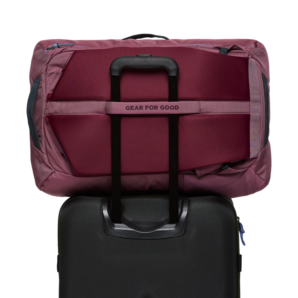Allpa 42L Travel Pack, Fig, Detail