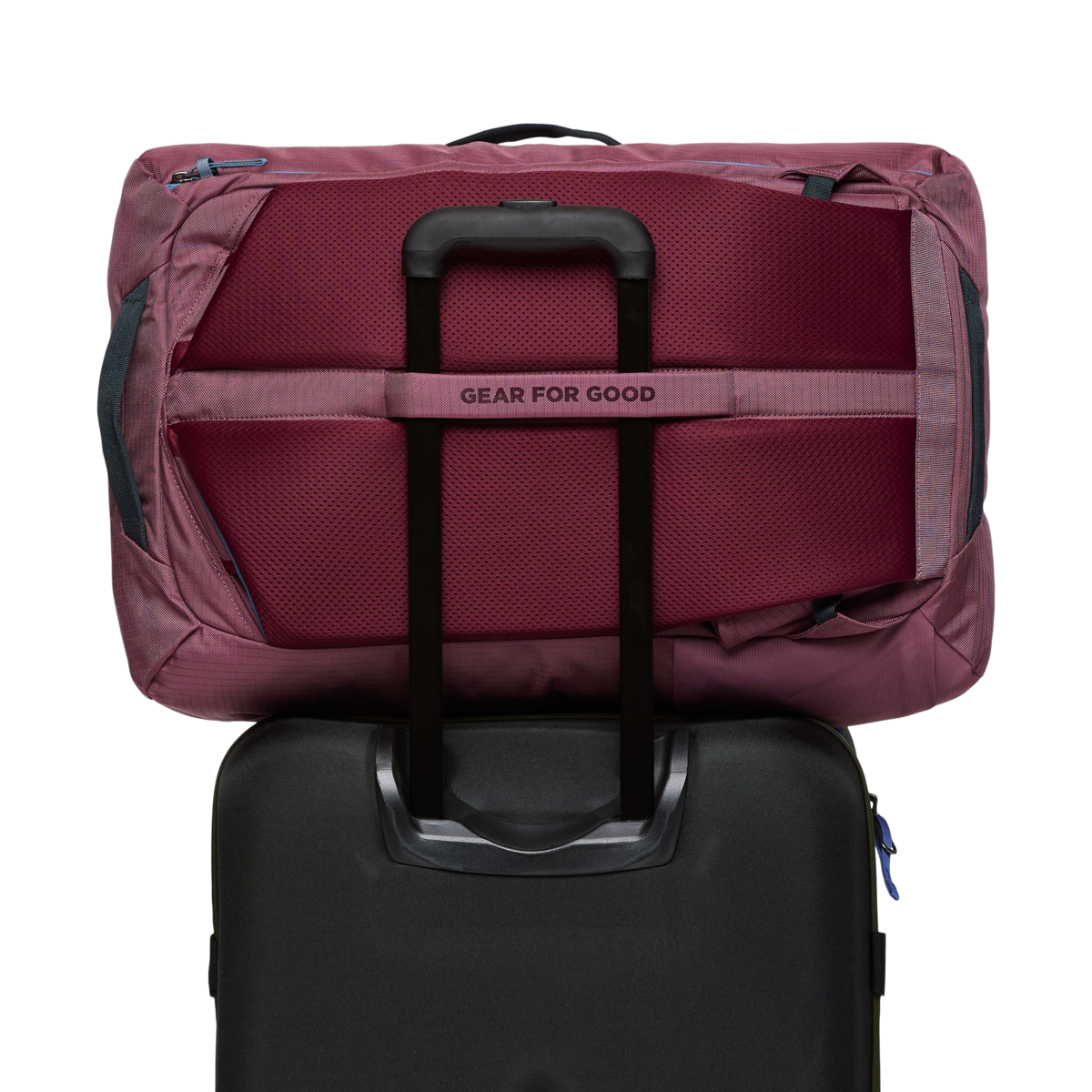 Allpa 42L Travel Pack, Fig, Detail
