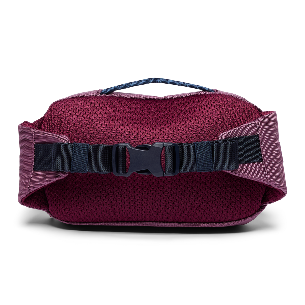 Allpa X 1.5L Hip Pack, Fig