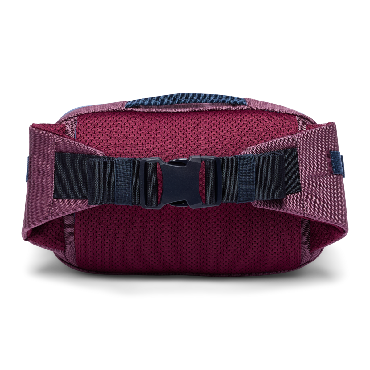 Allpa X 3L Hip Pack, Fig, Detail