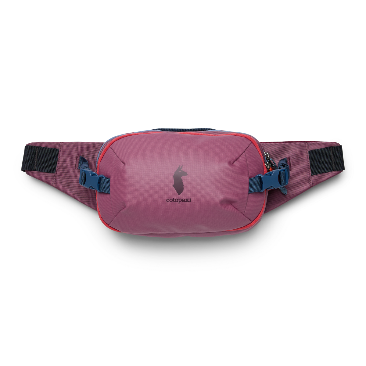 Allpa X 3L Hip Pack, Fig, Detail