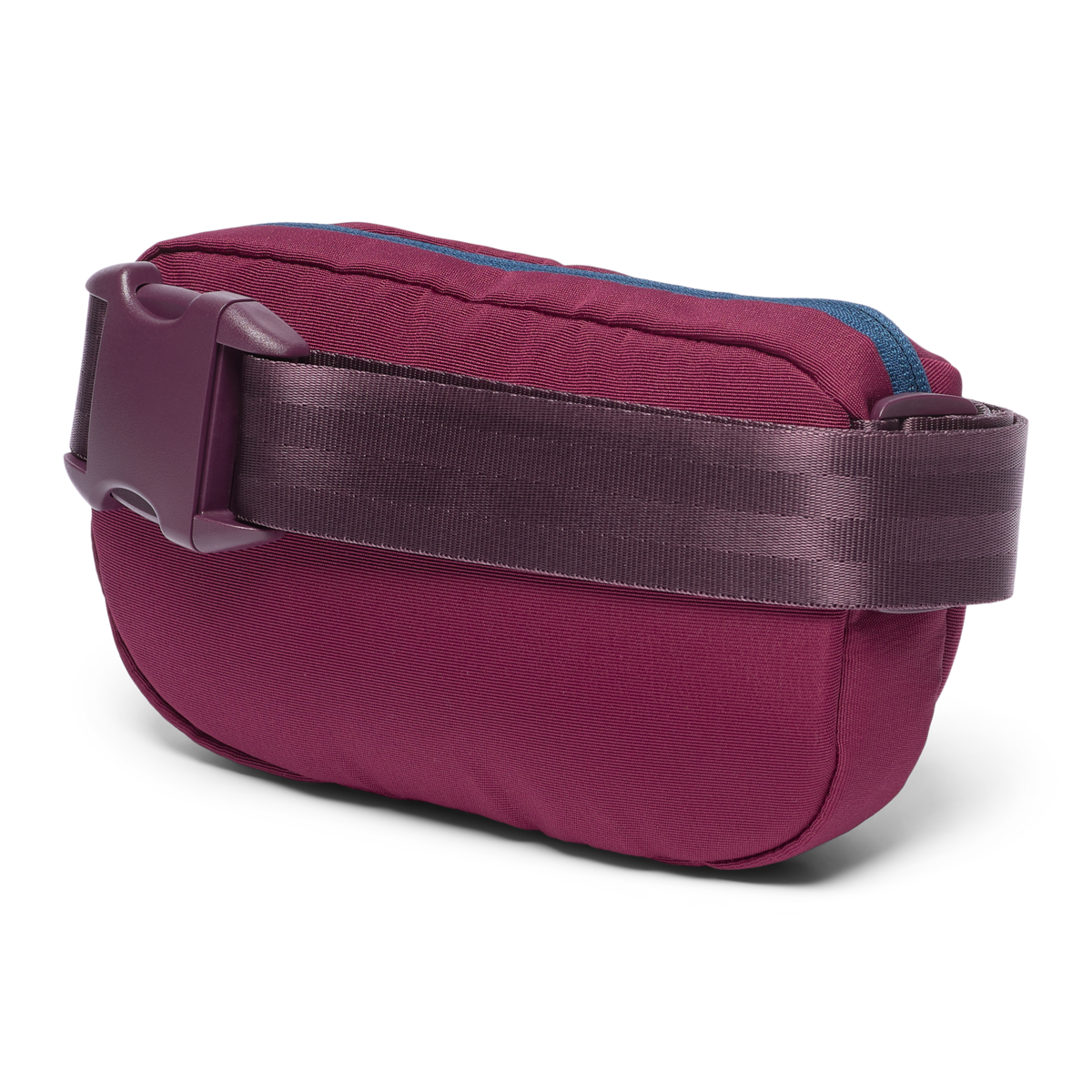Todo 2L Hip Pack - Cada Día, Jam, Detail