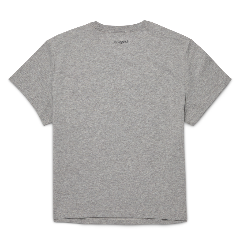 Llama Icon T-Shirt - Women's, Heather Grey, Detail