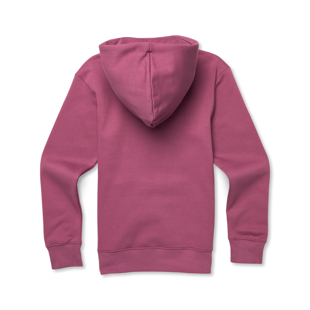 Lookout Point Pullover Hoodie - Women's, Fig